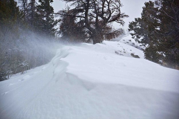 Blustery Ridgeline. Photo by Dave Bell.