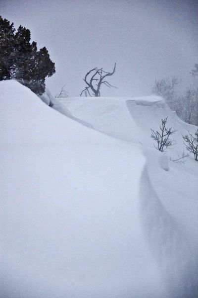 Heavy Snow. Photo by Dave Bell.