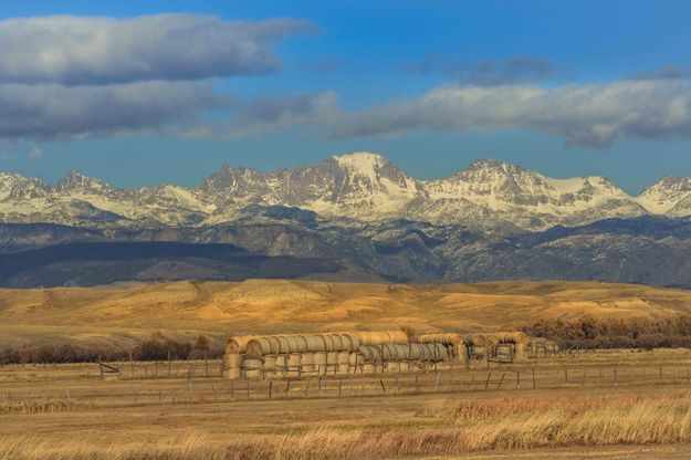 Ready For Winter. Photo by Dave Bell.