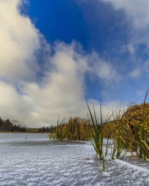 Ice Age. Photo by Dave Bell.