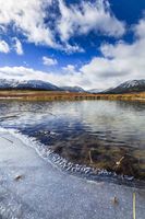 Encroaching Ice. Photo by Dave Bell.