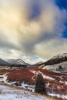 Early Winter On Cottonwood. Photo by Dave Bell.