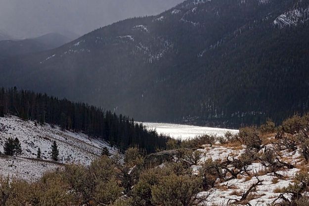 Snow Shower. Photo by Dave Bell.