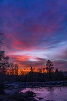 Sundown Beauty. Photo by Dave Bell.