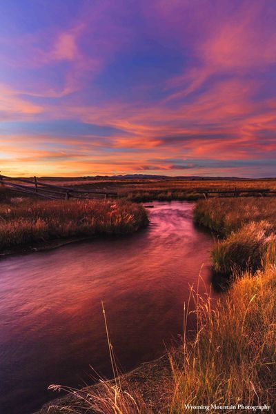 The Stream Flows Pink. Photo by Dave Bell.