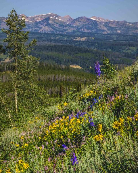 Peaks Of The Salt Range. Photo by Dave Bell.