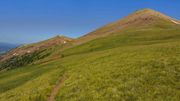 Wyoming And Coffin And Green Alpine Tundra. Photo by Dave Bell.