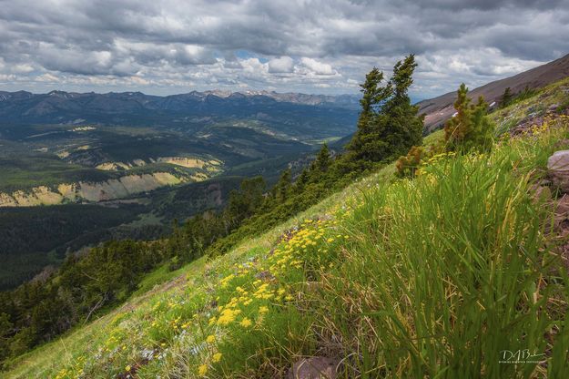 Beautiful Slopes. Photo by Dave Bell.