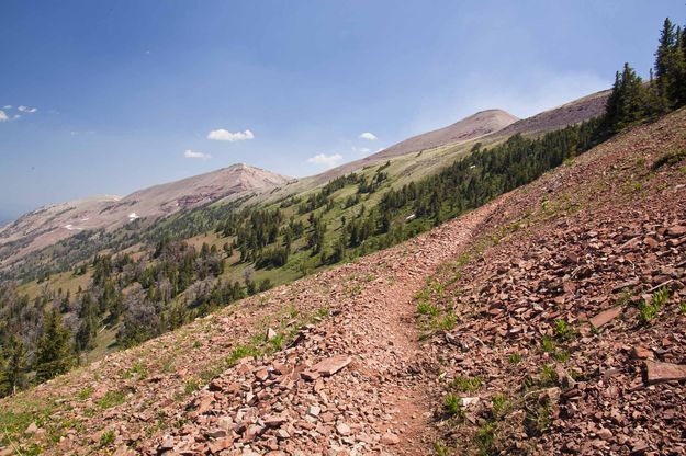 Trail In The Open. Photo by Dave Bell.