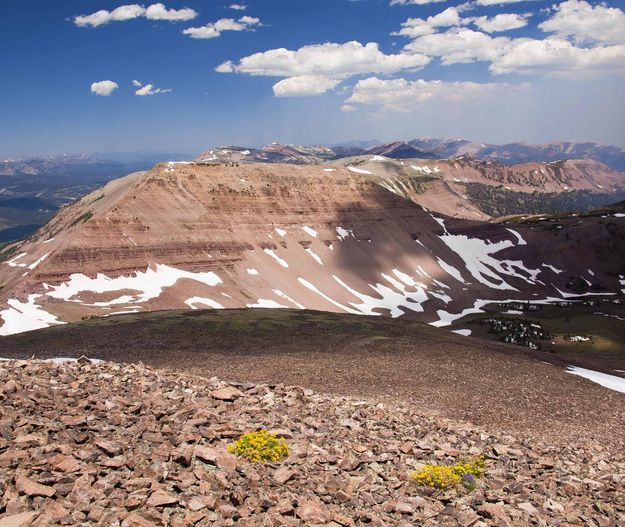 Mt. Coffin. Photo by Dave Bell.