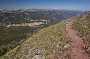 Trail With A View. Photo by Dave Bell.