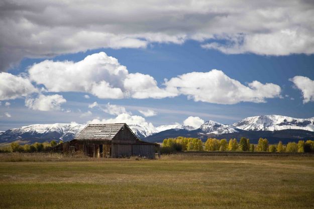 Old Buildings Up Horse Creek. Photo by Dave Bell.