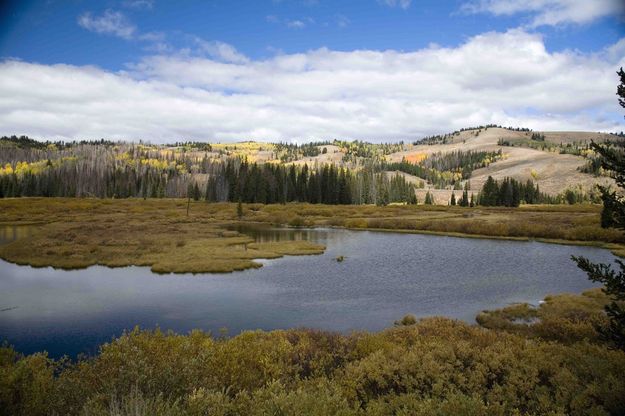 Beaver Pond. Photo by Dave Bell.