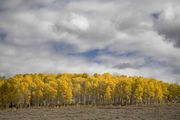 Aspen Ridge. Photo by Dave Bell.