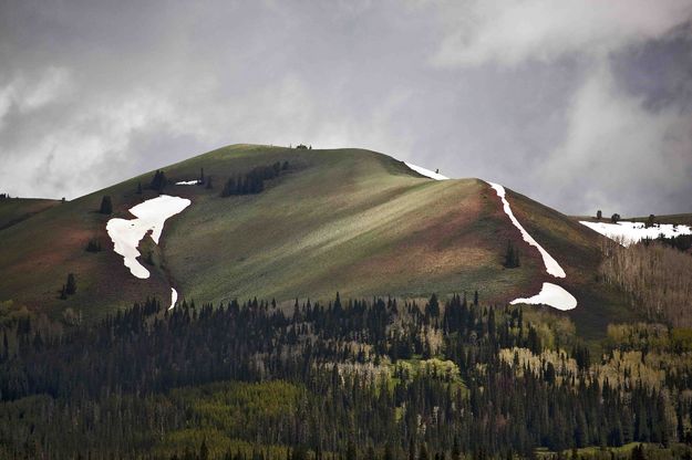 Bald Ridges Above Cottonwood Creek. Photo by Dave Bell.