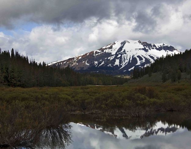 McDougal Reflection. Photo by Dave Bell.