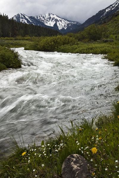 Bear Creek. Photo by Dave Bell.