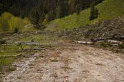 Avalanche Debris Below McDougal Gap. Photo by Dave Bell.