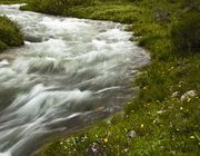 Bear Creek. Photo by Dave Bell.