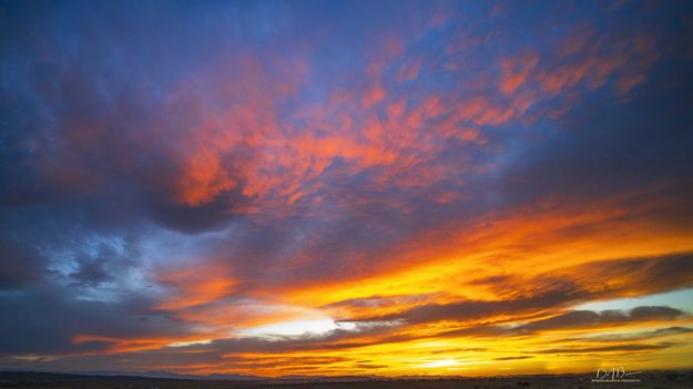 Beautiful Color. Photo by Dave Bell.