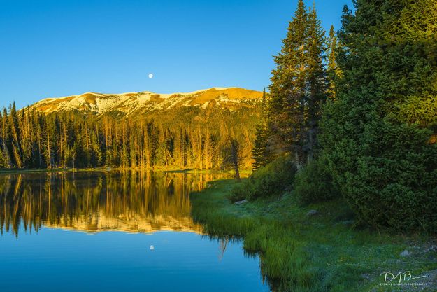 Morning Reflection. Photo by Dave Bell.