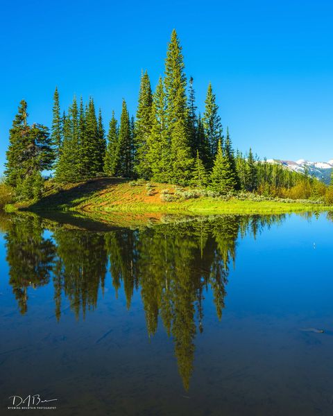 Perfect Reflection. Photo by Dave Bell.