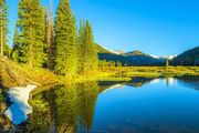 Pond Beauty. Photo by Dave Bell.