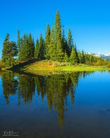 Perfect Reflection. Photo by Dave Bell.