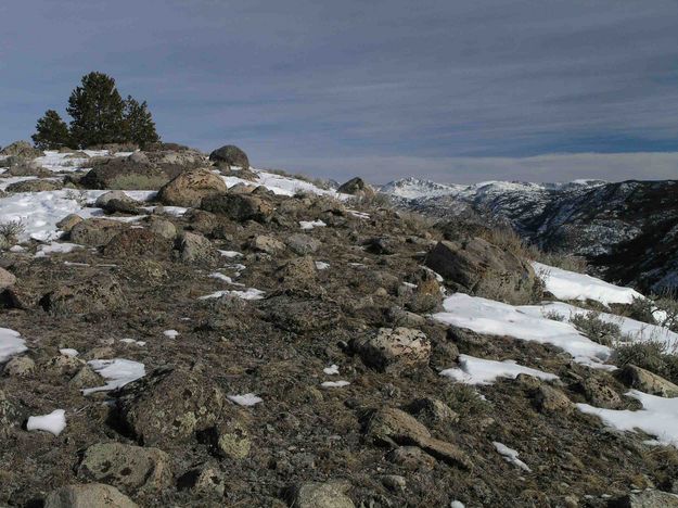 Snow Bare Ridge Line. Photo by Dave Bell.