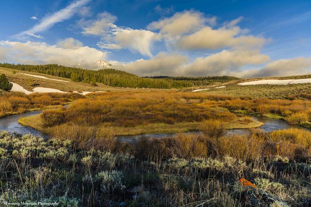 Bend In The Stream--North Cottonwood Creek. Photo by Dave Bell.