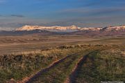 The Path Forward. Photo by Dave Bell.