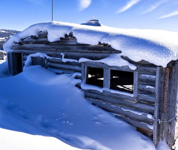 Old Cabin. Photo by Dave Bell.