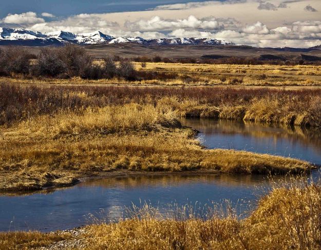 Horse Creek Flowing Near Daniel. Photo by Dave Bell.