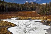 Beaver Pond Ice. Photo by Dave Bell.