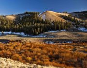 Cottonwood Scenery. Photo by Dave Bell.