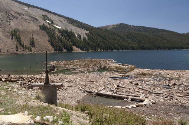 Still Floating Results Or Middle Piney Lake Landslide In May. Photo by Dave Bell.