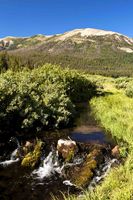 Gentle Stream. Photo by Dave Bell.