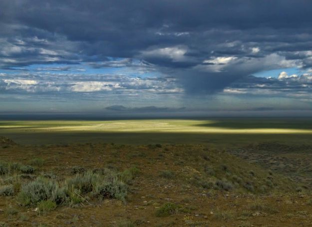 Desert Light. Photo by Dave Bell.