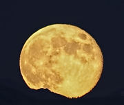 Full Moon Rise-July 10, 2011. Photo by Dave Bell.