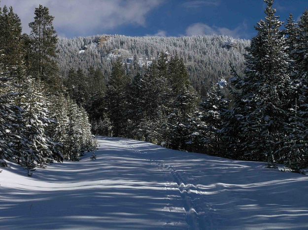 Cross Country Ski Trail. Photo by Dave Bell.