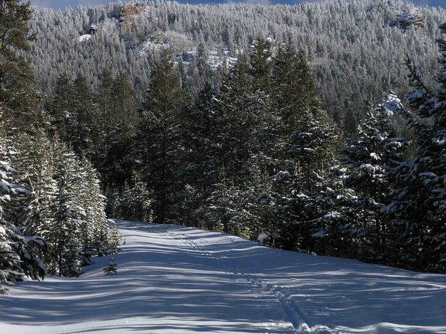 Beautiful January Scenery Dave Bell Pinedale Online Pinedale Wyoming