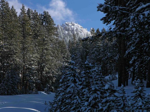 Ski Trail Scenery. Photo by Dave Bell.