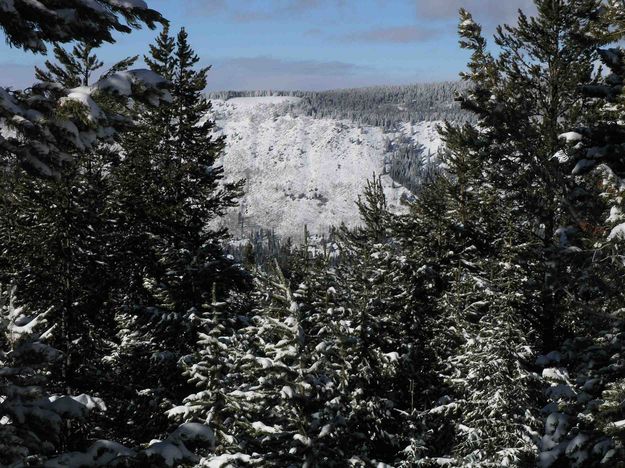 View Out Of The Trees En Route To Upper Overlook. Photo by Dave Bell.