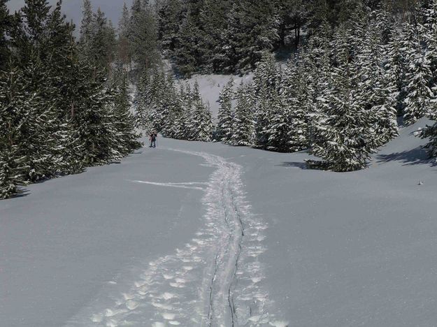 Skiing Near Overlook. Photo by Dave Bell.