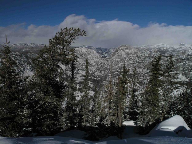 View Up Pine Creek Canyon. Photo by Dave Bell.