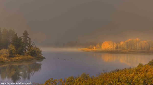 Light Rays Through The Fog. Photo by Dave Bell.