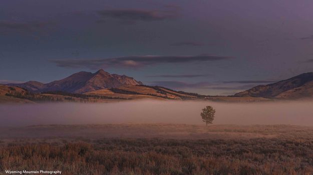 Lonely On Swan Lake Flats. Photo by Dave Bell.