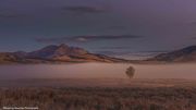 Lonely On Swan Lake Flats. Photo by Dave Bell.