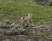 I Love You, Mom!. Photo by Dave Bell.