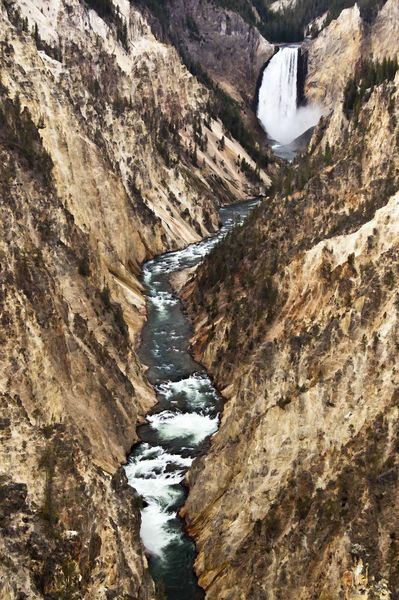 Grand Canyon Of The Yellowstone. Photo by Dave Bell.
